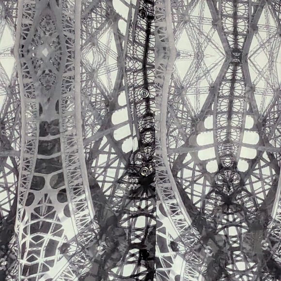 Catherine Malandrino Women's (8) Very Sheer/See-Through Button-Down Blouse/Top - Picture 2 of 11